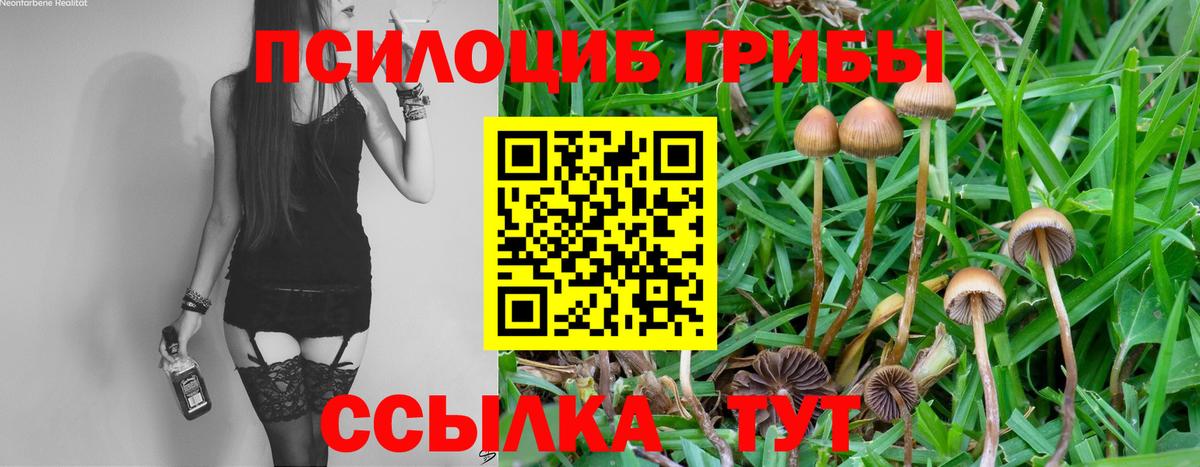 цены   Галлюциногенные грибы Cubensis  Вход с VPN  Ликино-Дулёво 